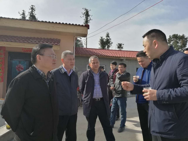 张忠斌院长在扶贫村调研.jpg