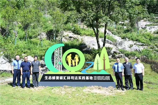 7长阳法院建立“生态修复碳汇林司法实践基地”。.jpg